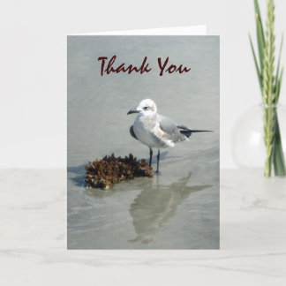 Seagull with Seaweed Custom Letterpress Thank You Card