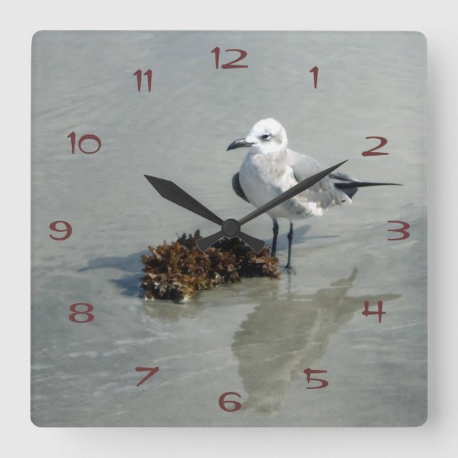 Seagull with Seaweed Square Wall Clock (Front)