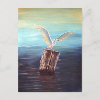 Seagull: www.AriesArtist.com Postcard