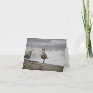 SeagullOnStormyBeach Letterpress Thank You Card