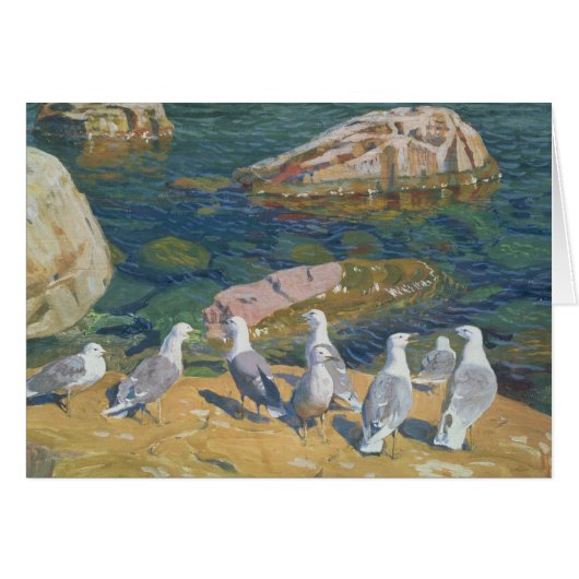 Seagulls, 1910 cards (Front Horizontal)