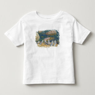 Seagulls, 1910 toddler t-shirt
