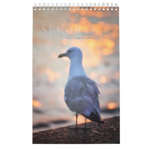 Seagulls and Beach Bird Landscape Photo Calendar