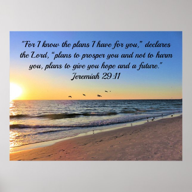 SEAGULLS AND SUNRISE JEREMIAH 29:11 BIBLE VERSE POSTER (Front)