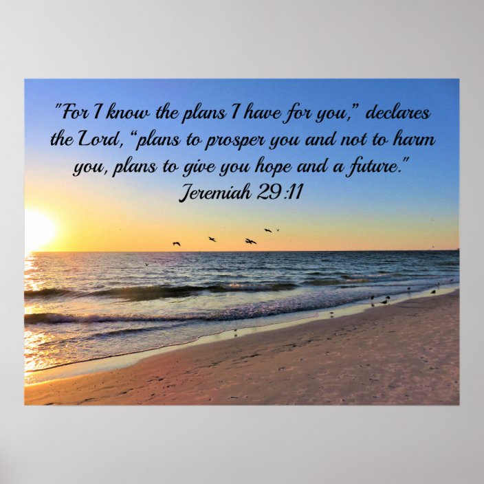 Seagulls And Sunrise Jeremiah 29 11 Bible Verse Poster