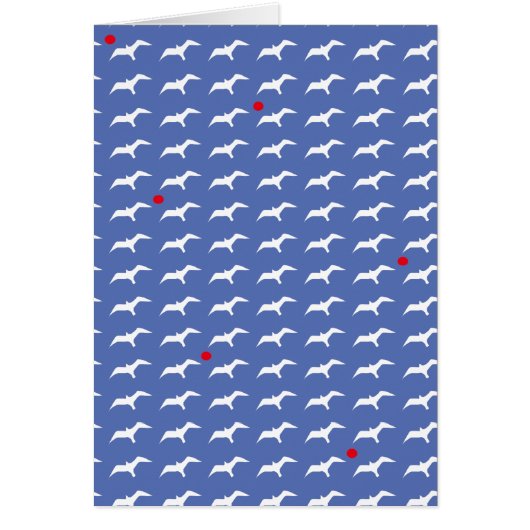 seagulls and the suns (Front)