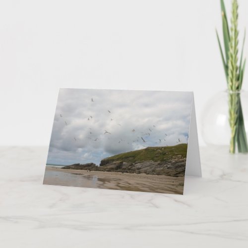 Seagulls at Porth Beach Newquay Cornwall Card