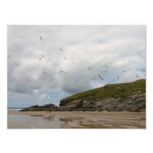 Seagulls at Porth Beach Newquay Cornwall Photo Print