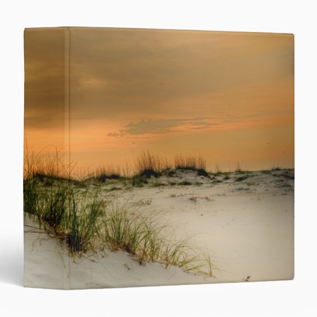 Seagulls at Sunrise 3 Ring Binder (Front/Spine)