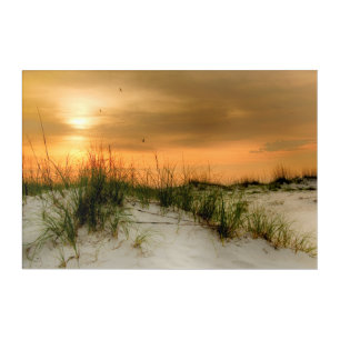 Seagulls at Sunrise Acrylic Print