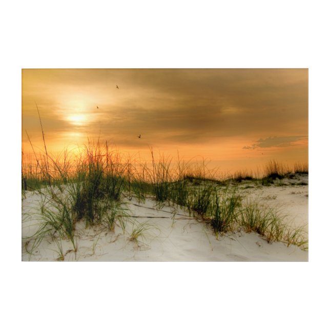 Seagulls at Sunrise Acrylic Print (Front)