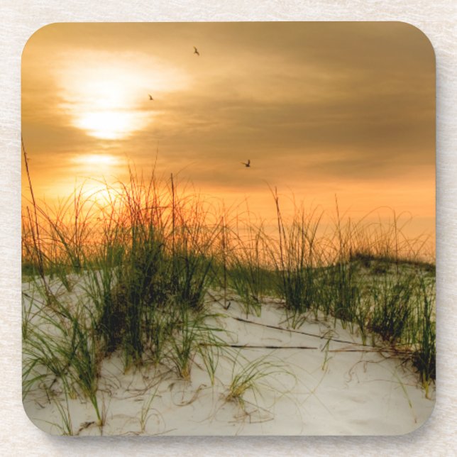 Seagulls at Sunrise Drink Coaster (Front)