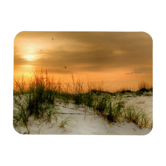 Seagulls at Sunrise Magnet (Horizontal)