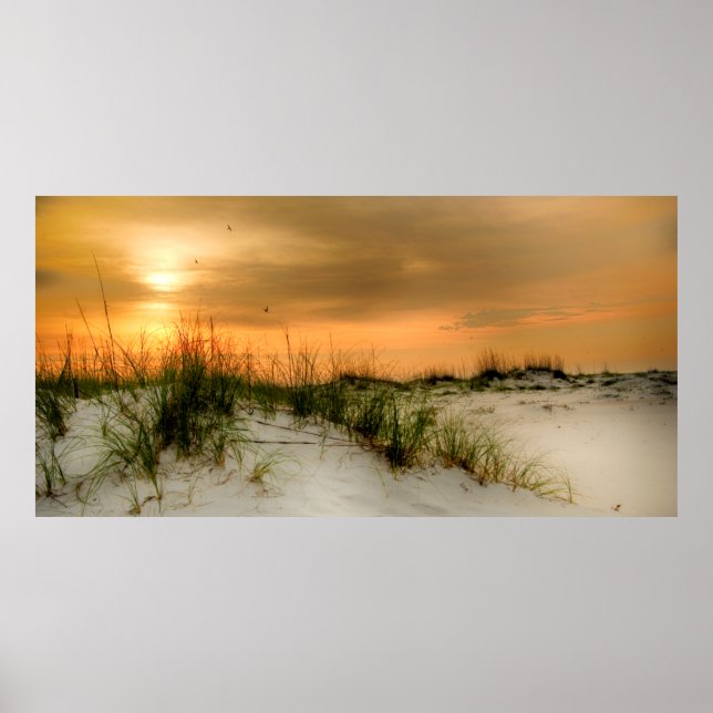 Seagulls at Sunrise Poster (Front)