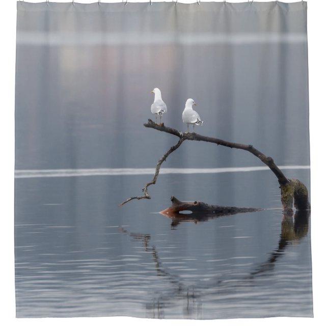 Seagulls Birds Water Blue White Peaceful Wildlife  Shower Curtain (Front)
