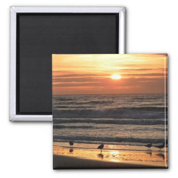 Seagulls By The Sea At Sunset  Magnet by beachcafe at Zazzle