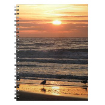 Seagulls By The Sea At Sunset  Notebook by beachcafe at Zazzle