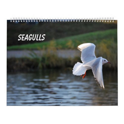 Seagulls Calendar