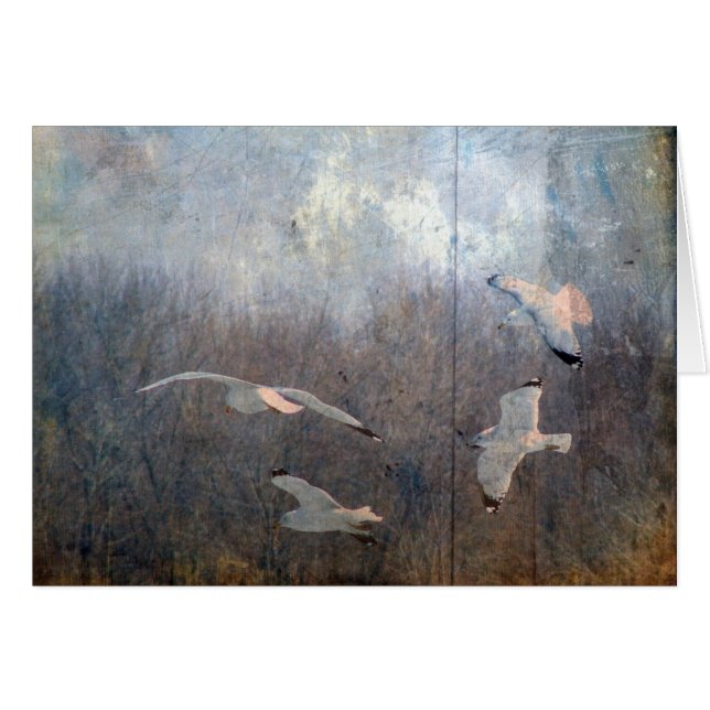 Seagulls Cards (Front Horizontal)