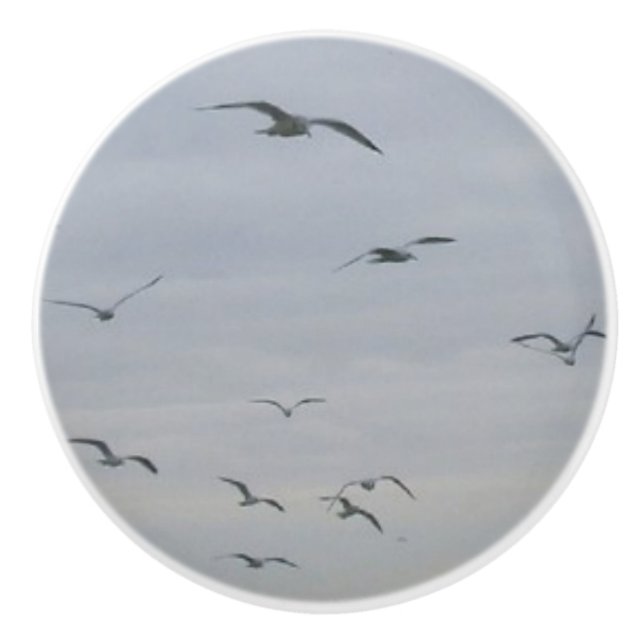 Seagulls Ceramic Knob (Front)
