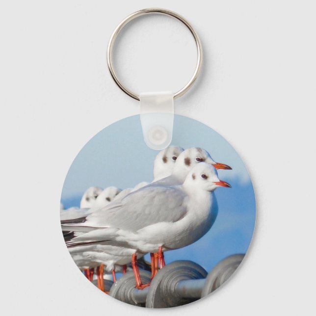 Seagulls Cute Bird Keychain (Front)