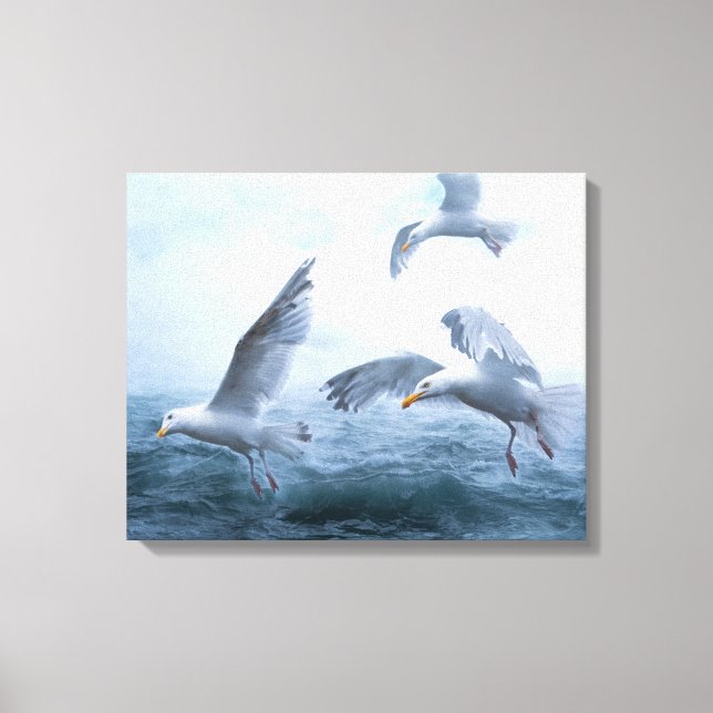 Seagulls Flight over the Sea Canvas Print (Front)