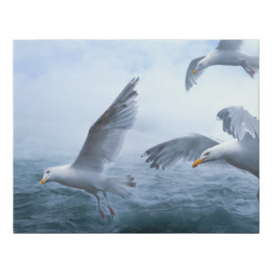 Seagulls Flight over the Sea Faux Canvas Print