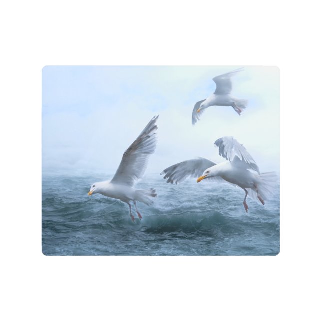 Seagulls Flight over the Sea Metal Print (Front)
