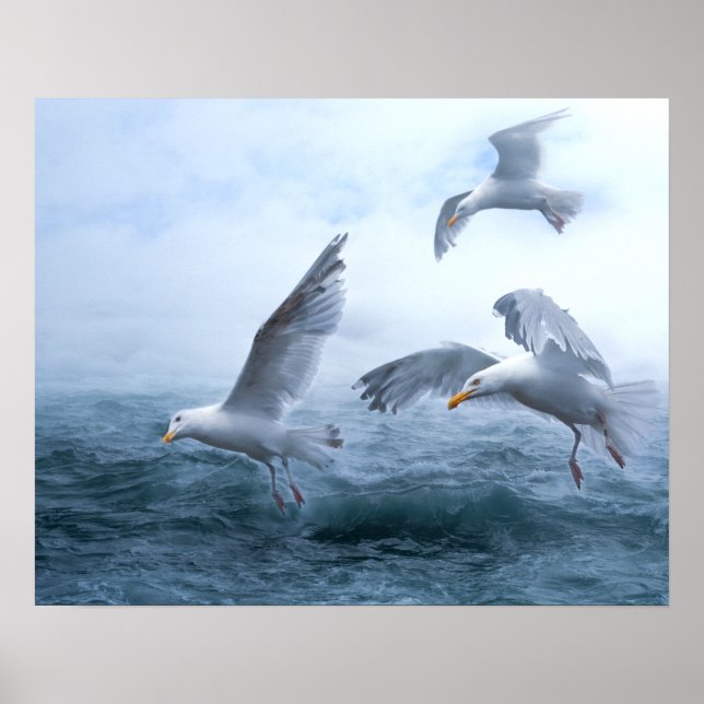 Seagulls Flight over the Sea Poster (Front)