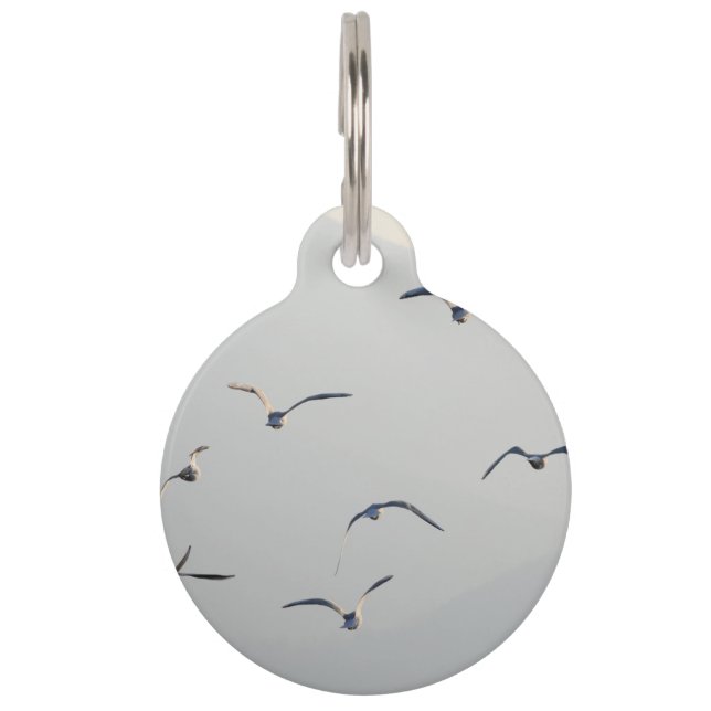 Seagulls Flock Flying  Pet ID Tag (Front)