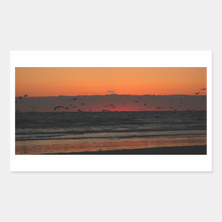 Seagulls Flying Over Ocean Sunrise Photo Rectangular Sticker