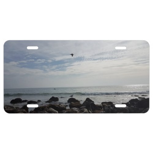 Seagulls Flying Past the Beach License Plate