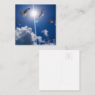 Seagulls Flying Sky Clouds Sun Enclosure Card