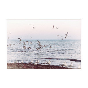 Seagulls Flying Waves and Shoreline Landscape Canvas Print