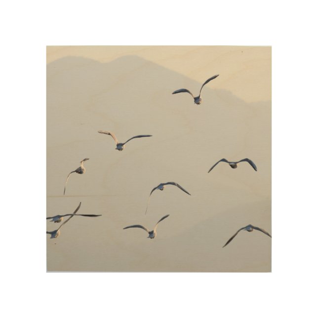 Seagulls Flying Wood Wall Art (Front)