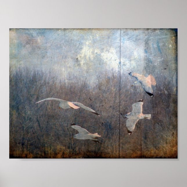 Seagulls Grunge Poster (Front)