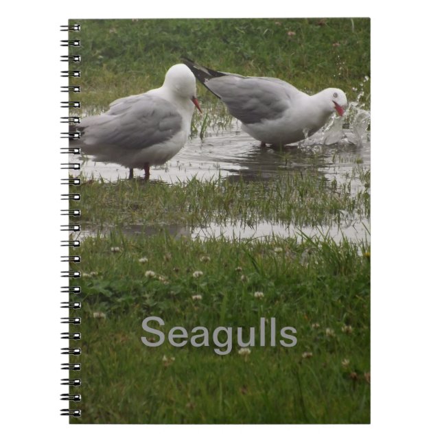 Seagulls in a Puddle Notebook (Front)