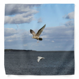 Seagulls in Flight Bandana