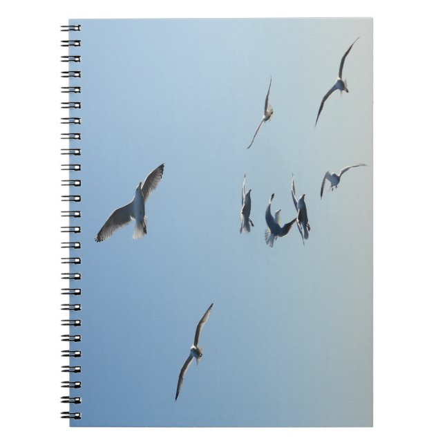 Seagulls in Flight Coastal Bird | Seaside Notebook (Front)