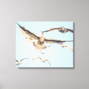 Seagulls in flight nature photo canvas print