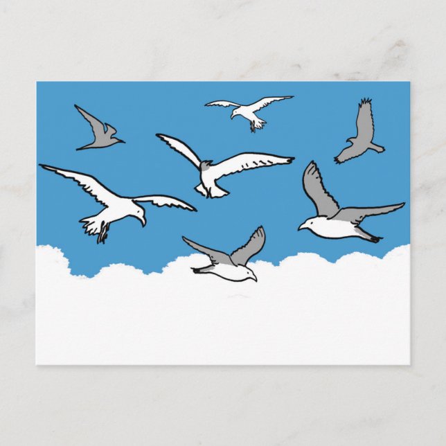 Seagulls in flight postcard (Front)