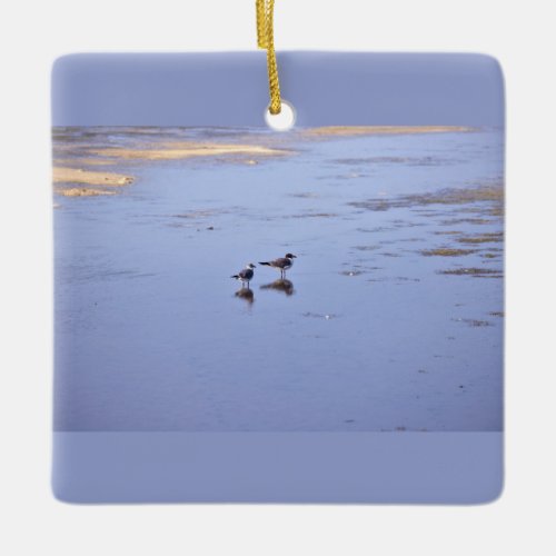 Seagulls in Water Ceramic Ornament