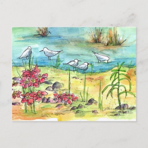 Seagulls Lake Shore Birds Watercolor Flowers Postcard