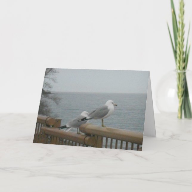 "Seagulls Looking to Lake Superior" Thank You Card (Front)