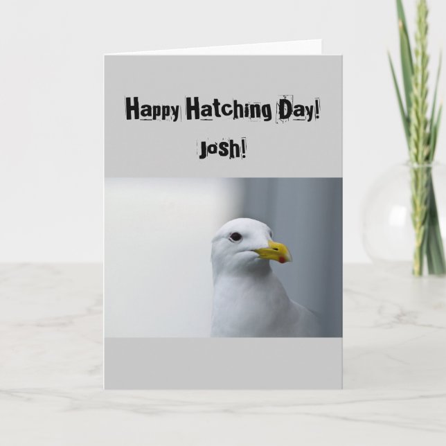 Seagulls Need Love Too Birthday Card (Front)