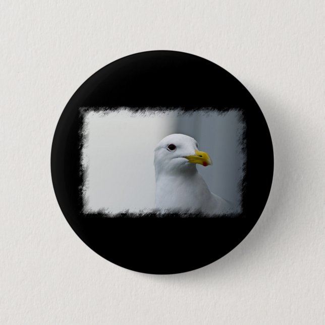 Seagulls Need Love Too Button (Front)