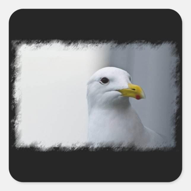 Seagulls Need Love Too Square Sticker (Front)