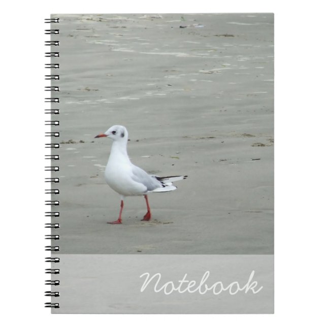 Seagulls Notebook (Front)