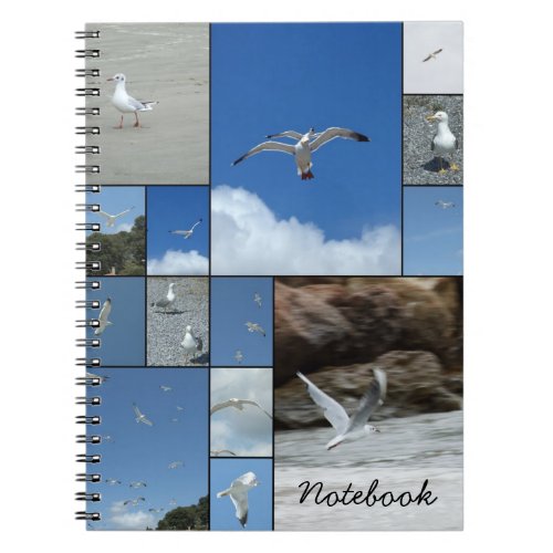 Seagulls Notebook
