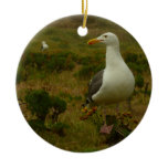 Seagulls on Anacapa Island Ceramic Ornament